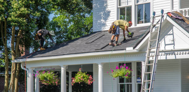 Roof Gutter Cleaning in Rio Hondo, TX